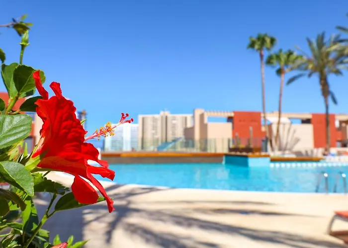 Chill In Paradise Appartement *