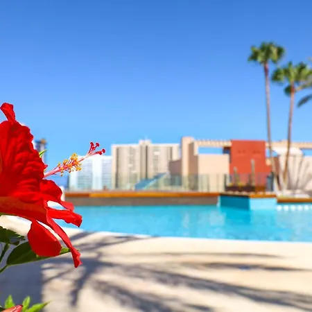 Chill In Paradise 아파트 *